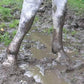 AlvaBarrier Mud and Rain protector