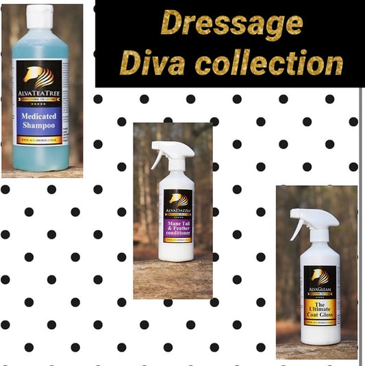 Dressage diva collection