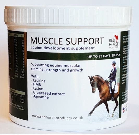 Muscle Support