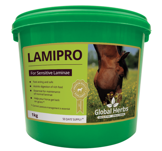 Global Herbs Lamipro